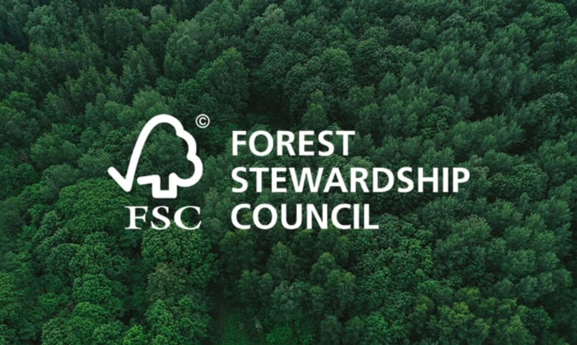 FSC Forests: The Gold Standard for Sustainable Wood Sourcing