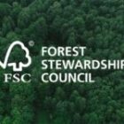 FSC Forests: The Gold Standard for Sustainable Wood Sourcing