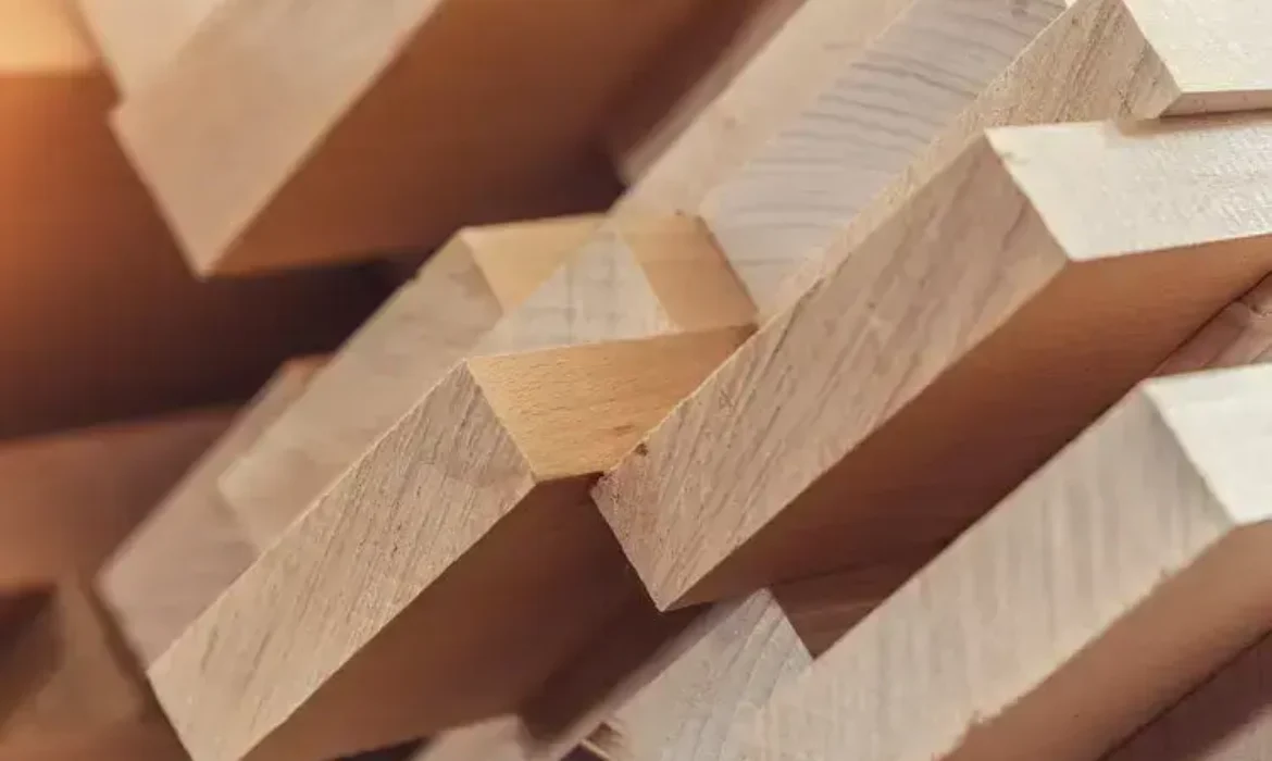 The Importance of Sustainable Lumber and Packaging Solutions in a Greener World